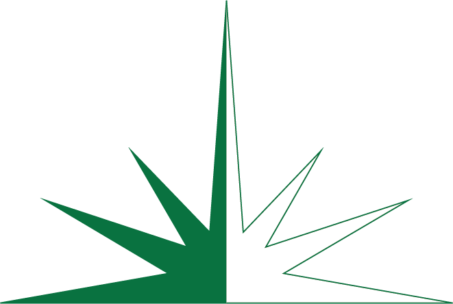 Pinnacle Wealth Strategies